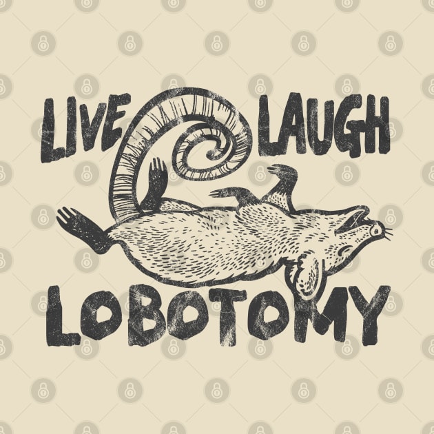 Live Laugh Lobotomy Opossum by Can Photo