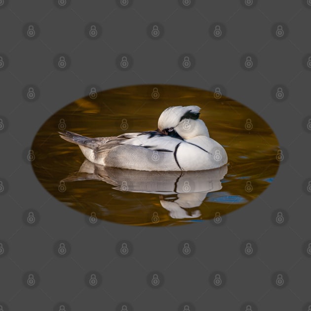 Smew by dalyndigaital2@gmail.com