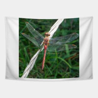 Orange Meadowhawk Tapestry