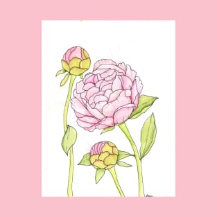 Pink Peony and Peony Buds T-Shirt