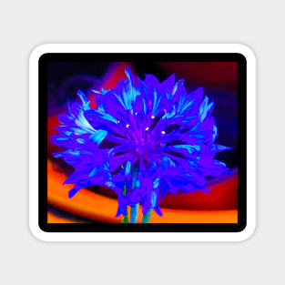 Inverted Bright Blue Wild Flower Magnet