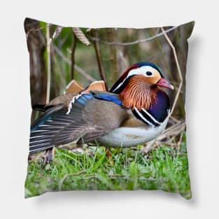 Mandarin Duck II / Swiss Artwork Photography Pillow