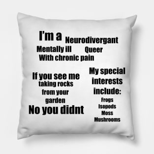 Diversity rocks Pillow