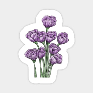 Spring Tulips Magnet