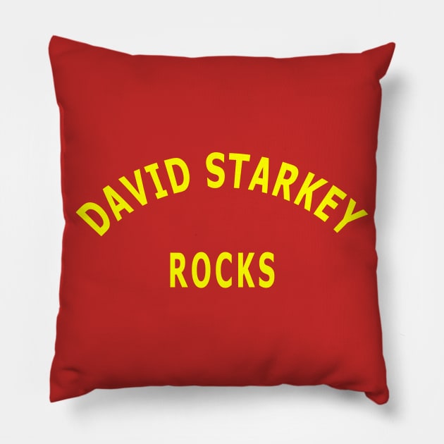 David Starkey Rocks Pillow by Lyvershop