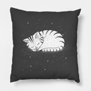 Cute Cat Taking Nap on a Galaxy Pillow