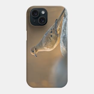 Mourning Dove On Rock Phone Case