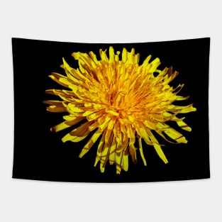 Dandelion flower Tapestry