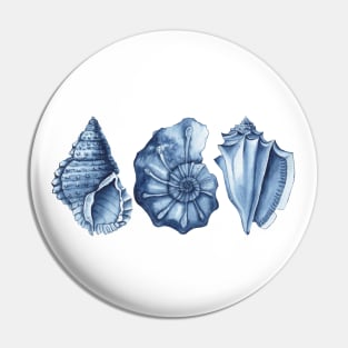 Blue watercolor seashells Pin