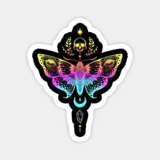 Night moth Magnet