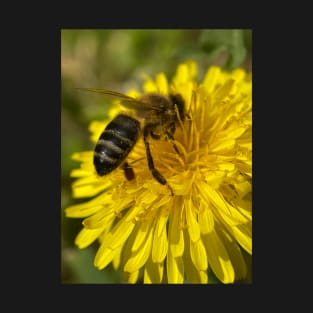 Dandelion bee T-Shirt