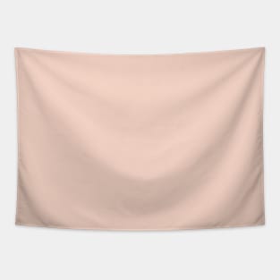 preppy girly chic minimalist pastel color blush pink Tapestry