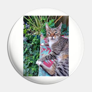 Lenny the cat Pin