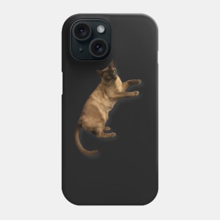 Cat relaxing on a floor pillow Phone Case