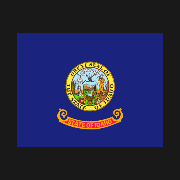 Idaho Flag by taoistviking