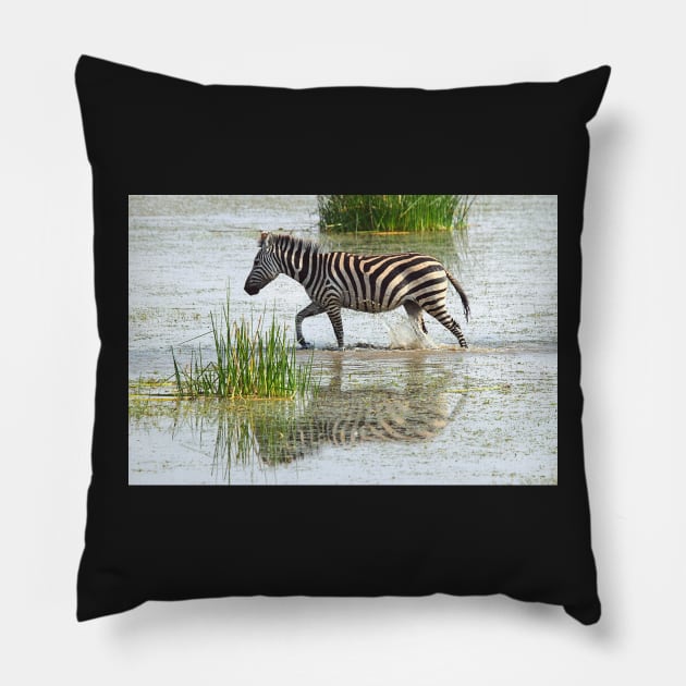 Solo Zebra Crossing, Amboseli, Kenya Pillow by Carole-Anne