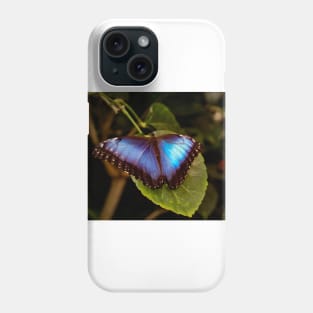 Blue Morpho Butterfly Phone Case