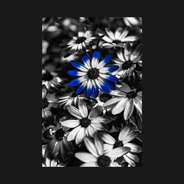 Blue Senetti by Reg-K-Atkinson