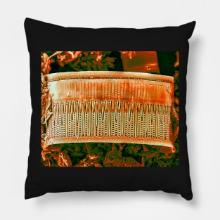 Diatom - Aulacoseira (Fire Red) Pillow