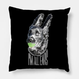 I'm all ears funny black working cocker spaniel dog on black Pillow