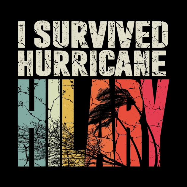 I survived the Hurricane Idalia by everetto