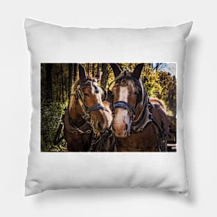 Horse Pride 1 Pillow