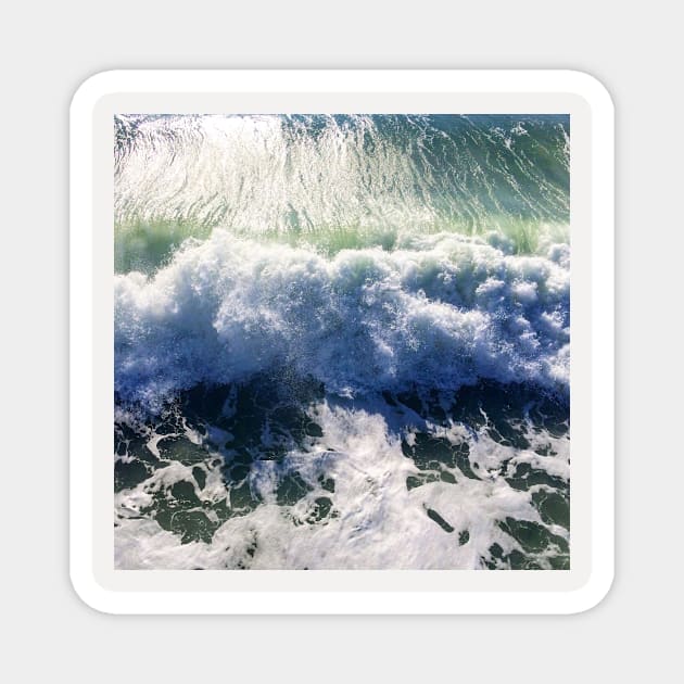 Saltwater Magnet by Bayhill Studio