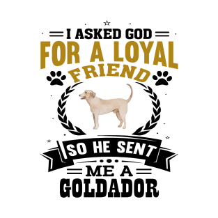 I asked God for a loyal friend He sent me a Goldador dog T-Shirt