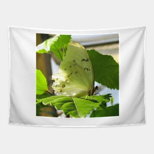 White Spring Butterfly Tapestry