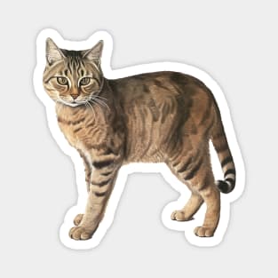 Tiger Cat Art, Love Cats Magnet