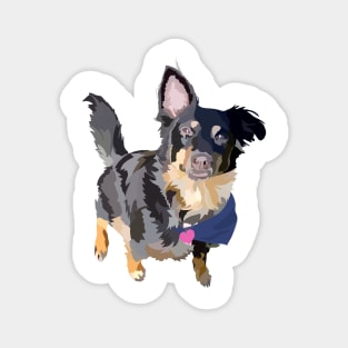 Border collie doodle Magnet