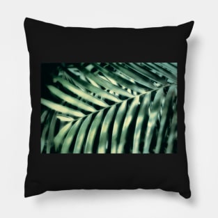 Tropical Light And Shadow Pillow