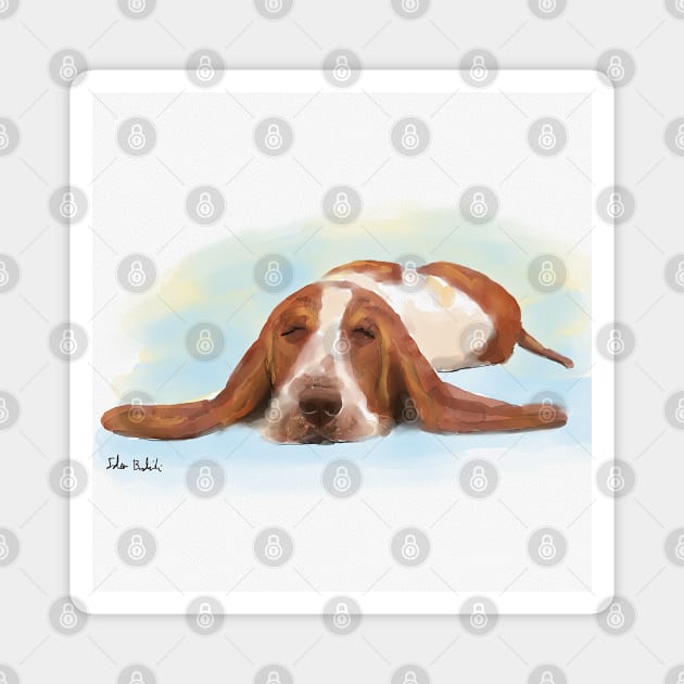 Cute Brown and White Basset Hound Sleeping on the Floor Magnet by ibadishi