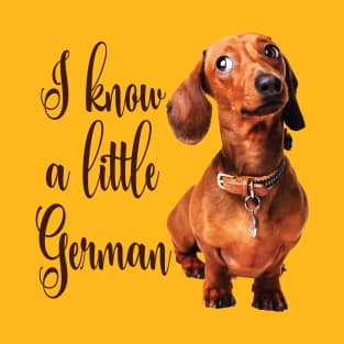 I Know a Little German T-Shirt