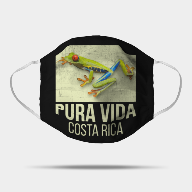 Costa Rica Tree Frog Pura Vida Travel Backpacking - Costa ...