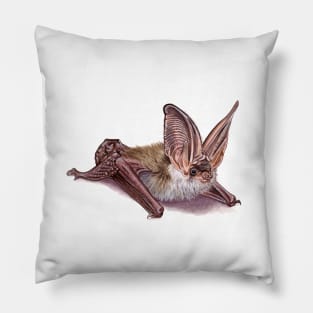 Grey long-eared bat Pillow