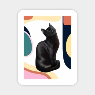 Black cat on modern background Magnet