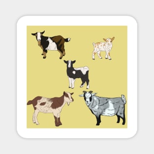 Nigerian Dwarf Goats Pattern Yellow Magnet