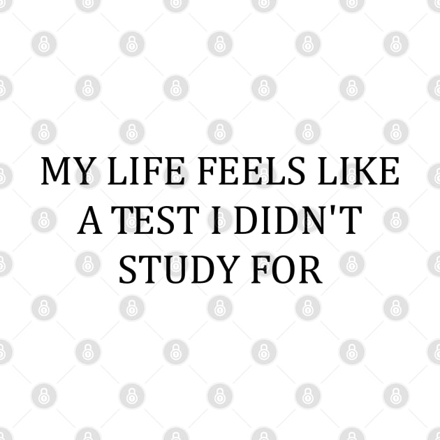 My Life Feels Like A Test I Didn't Study For Funny Humor by WildFoxFarmCo