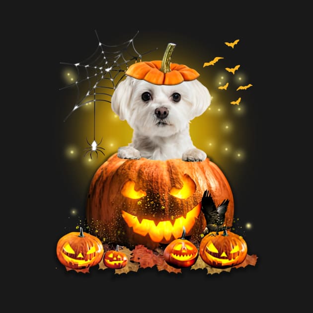 White Maltese Spooky Halloween Pumpkin Dog Head by Mhoon 