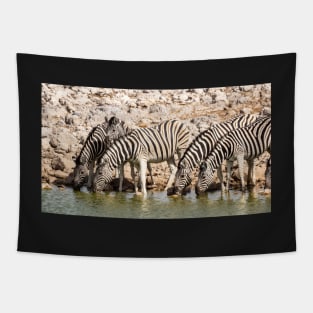 Zebras at the waterhole, Etosha National Park, Namibia Tapestry