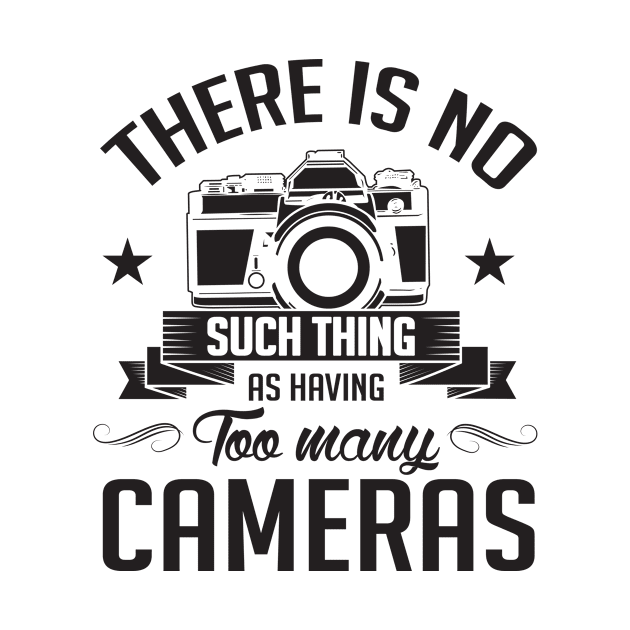 There is no too many cameras (black) by nektarinchen