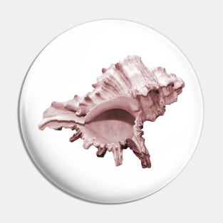 Grand pink conch seashell Pin