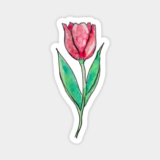 Tulip Magnet