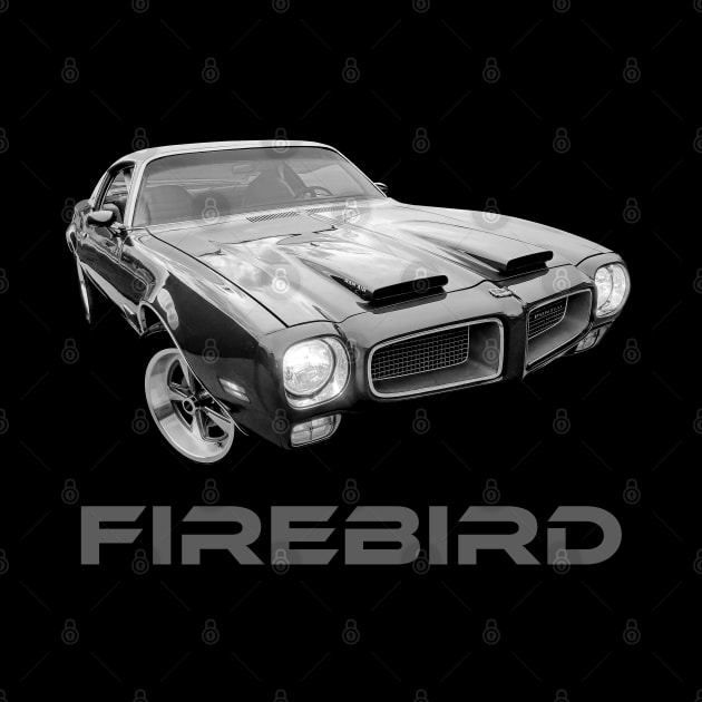 1971 Firebird B/W by MotorPix