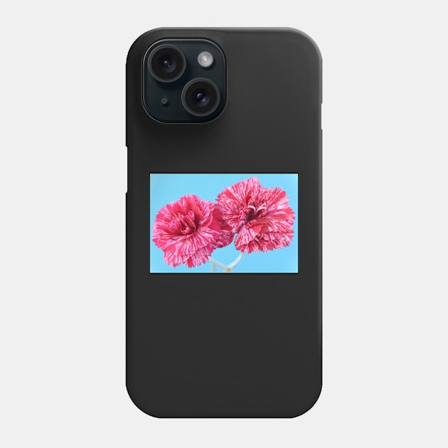 Dianthus  &#39;Cosmic Swirl Red&#39;  Pink Phone Case by chrisburrows