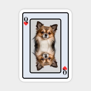 Chihuahua Queen of Heats Magnet