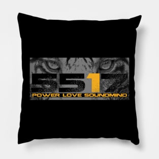 EYE of the tiger Pillow