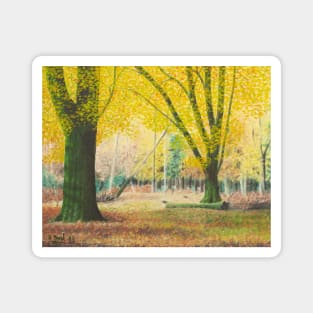 New Forest Autumn 2 Magnet
