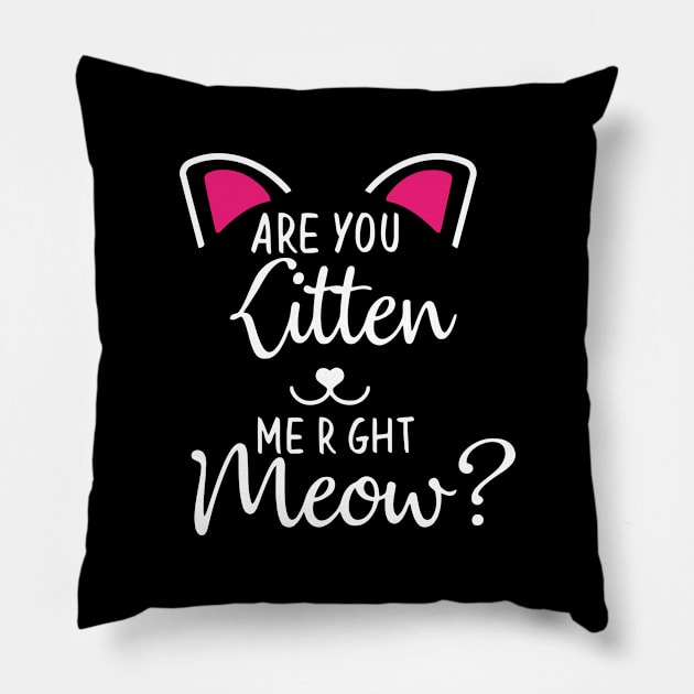 Are You Kitten Pillow by wolulas